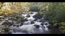 Shaugh Prior, River Plym, A  Dartmoor River in the autumn