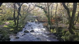 Autumnal Scenery of A Dartmoor River