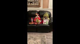 How the Grinch Stole Thanksgiving