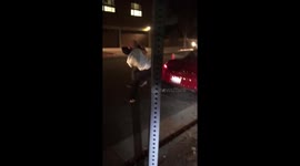 Road-rage fueled brawl in Los Angeles involving Porsche driver
