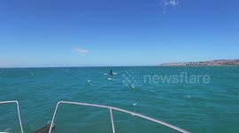 Tourists In Terror As Killer Whales Surround Shark Cage Diving Boat