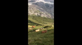 Valleys and Mountains of Switzerland
