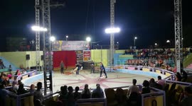 Fail Dog Cross Under Some Obstacles