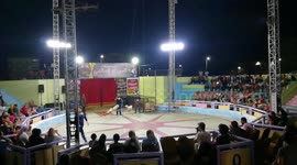 Cute Dog Jumps Off Some Obstacles With Russian Trainer