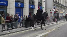 Some Horses Misbehaving at The Lord Mayors Show In London