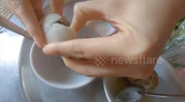 Gruesome but tasty Vietnamese delicacy of 'fetal duck' eggs