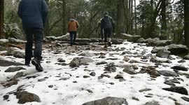Yosemite winter trail