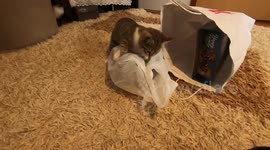 Game in a bag