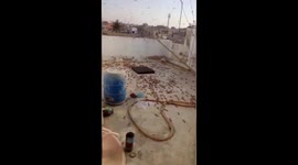 Locusts Attack