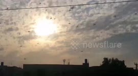 Locusts Attack 2