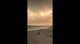Australian bush fire from beach