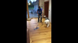 Make cleaning floors hard work but such fun