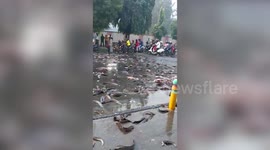 Live fish strewn across Indian road after transport truck topples over