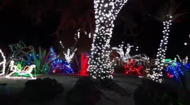 Nevada chocolate shop uses over one million lights to transform cactus garden for Christmas