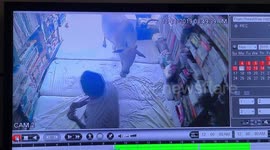 Holy cow makes habit to take rest inside cloth shop in southern east India.