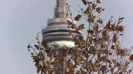 Record breaking historic cold weather front grips Toronto