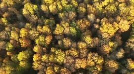 Drone Captures Beautiful Autumn Colours