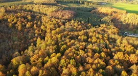 Golden Hour Autumn Colours Drone Reveal