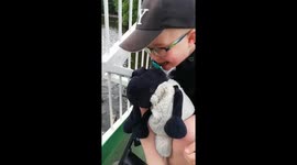 Autistic boy in the UK hilariously throws bread for ducks
