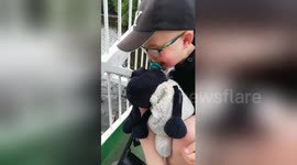 Autistic boy in the UK throws bread for ducks as he laughs hysterically