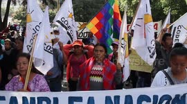 Dozens protest in support of former Bolivian president Evo Morales in Guatemala