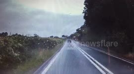 Car loses it on a wet road