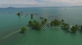 Sea level rise swamps Mergui Archipelago coast in Myanmar