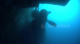 Scuba divers exploring Zenobia wreck
