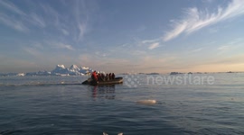 Zodiac Cruise