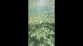 Snorkeling in the Blue Hole