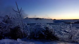 Mother Nature creates stunning ice sculptures from plants at Niagara Falls