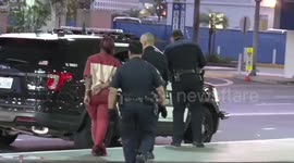 Woman with a gun in her luggage arrested at Los Angeles' LAX airport