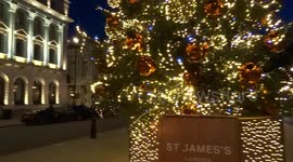 St James's Christmas Tree is sparkling magically at Waterloo Place - London