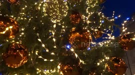 Magic sparkle of St James's Christmas Tree at Waterloo Place - London