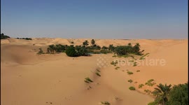 UAE Oasis and Desert