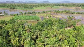 Stunning drone footage of Sri Lanka's tropical wetlands