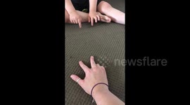 Autistic 4 year old cute boy learns to count when mummy makes a spider with her fingers and makes him laugh adorably