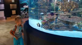 Boy is ecstatically happy to get chased around by a fish in its tank