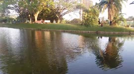 Beautiful Kenya, Nairobi City