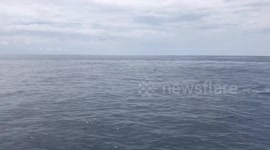 Breathtaking moment dozens of dolphins race alongside boat in southern Thailand