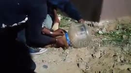 Rescuers save dog in India with head trapped in plastic container for TEN days