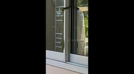 Tree Snake Climbs On Kitchen Window