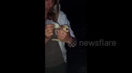 Tiny puppies abandoned in dumpster with umbilical cords still attached are making a strong recovery