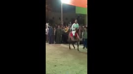 Arabian Horse Dance Show