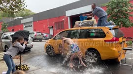 New York City taxi drivers pose for last ever calendar celebrating their contribution to the Big Apple