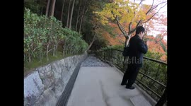 An autumn stroll through Kyoto's UNESCO World Heritage site Ginkakuji Temple, the Silver Pavilion