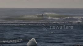 Surfing in Iceland near icebergs