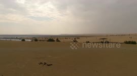 Fayoum Oasis and Magic Lake In Wadi El Rayan
