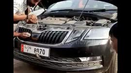 Five-foot-cobra rescued from car bonnet after hours-long struggle in west India