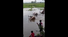 Locals race in giant pots in river in Cambodia